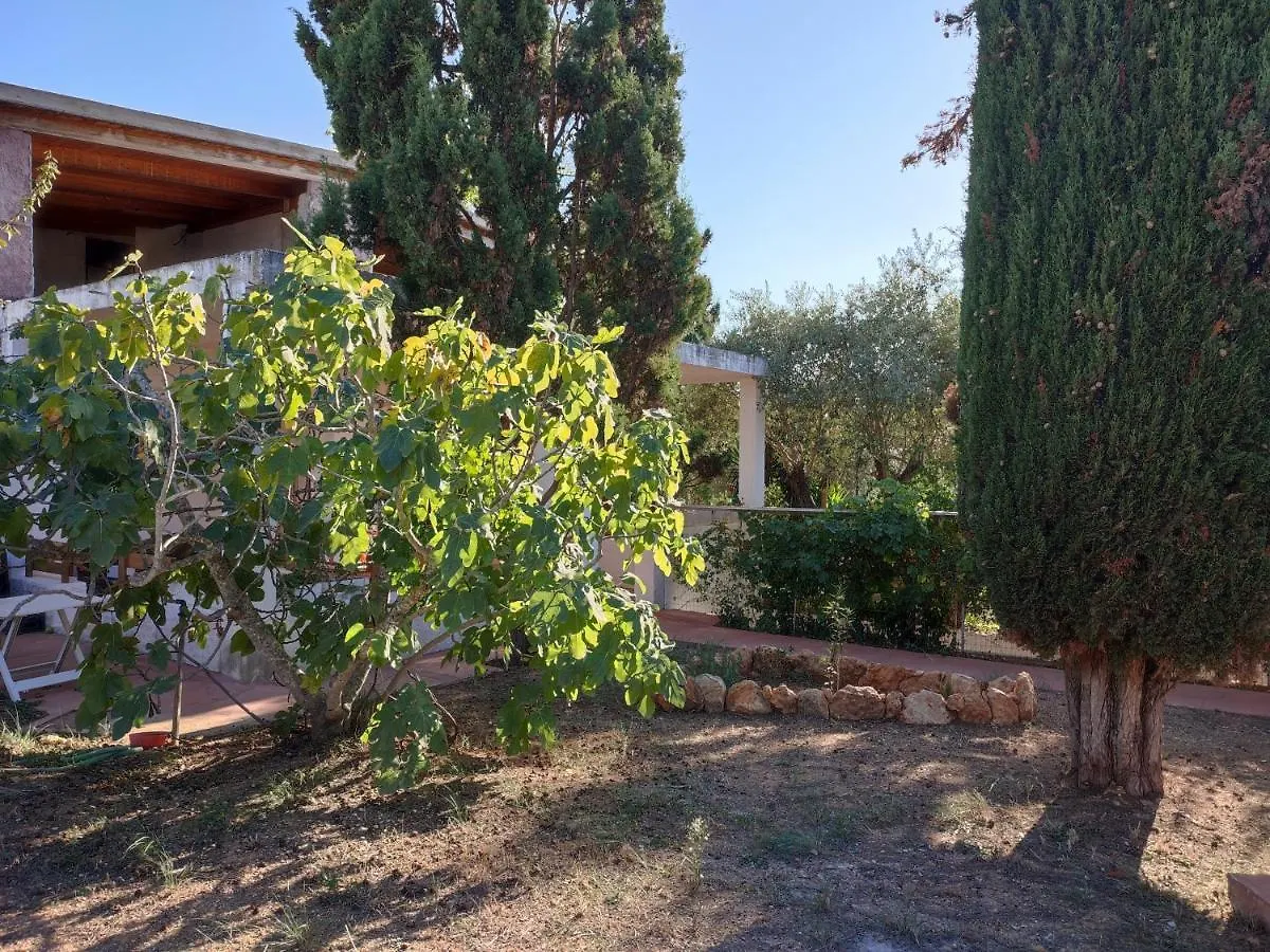 Alghero Guest House - Appartamenti In Villetta Di Campagna, Piscina Fuori Terra A 4 Minuti Di Auto Dalla Citta Apartment
