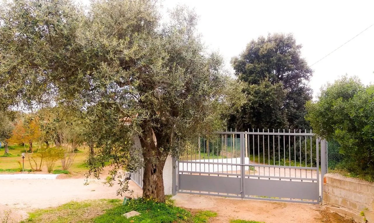 Apartment Alghero Guest House - Appartamenti In Villetta Di Campagna, Piscina Fuori Terra A 4 Minuti Di Auto Dalla Citta